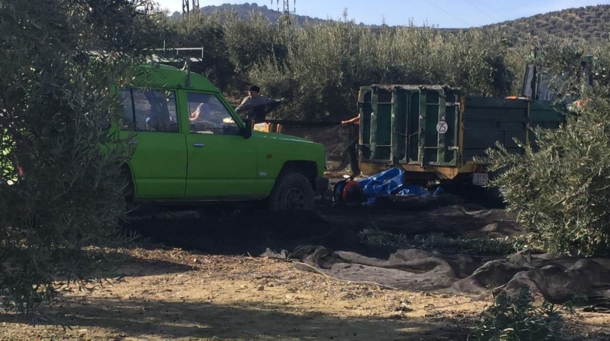 El paro se ha incrementado en el sector agrario