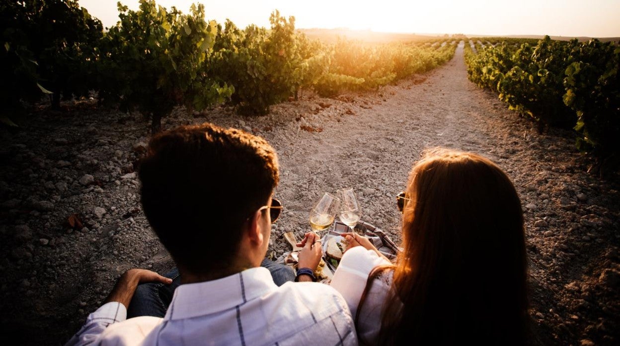 Una pareja brinda en un viñedo en una de las actividades de la Ruta del Vino Montilla-Moriles