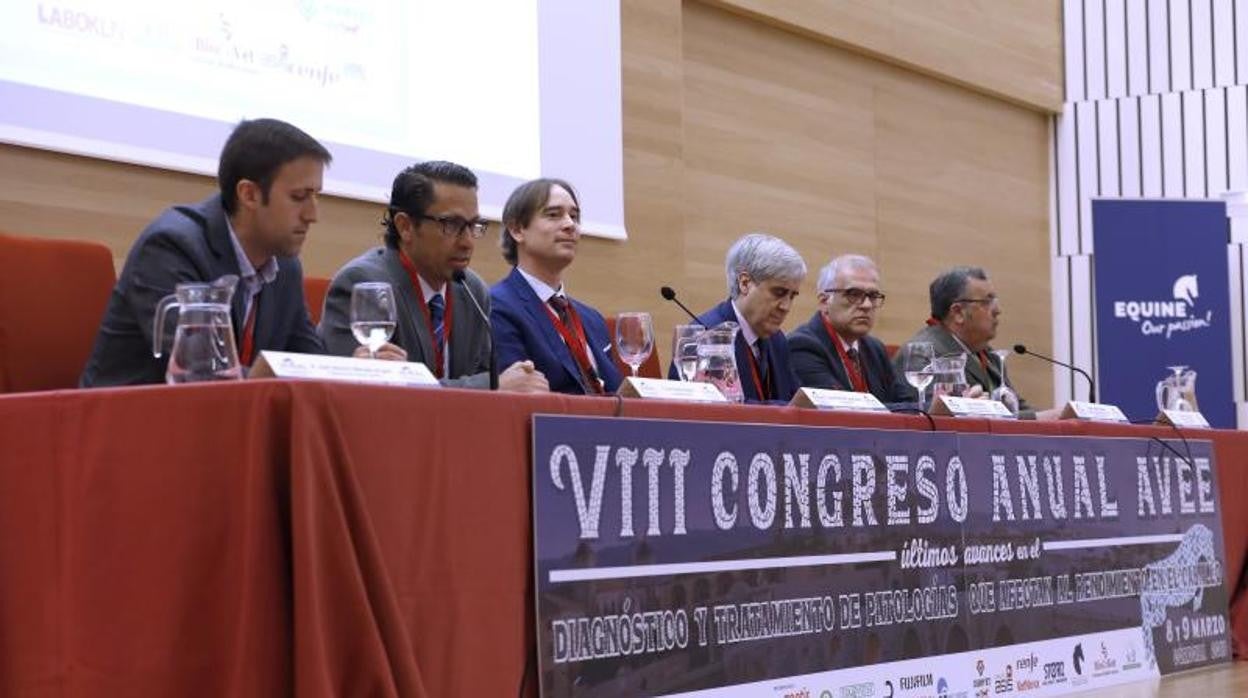 Expertos veterinarios de Córdoba en un congreso anual equino