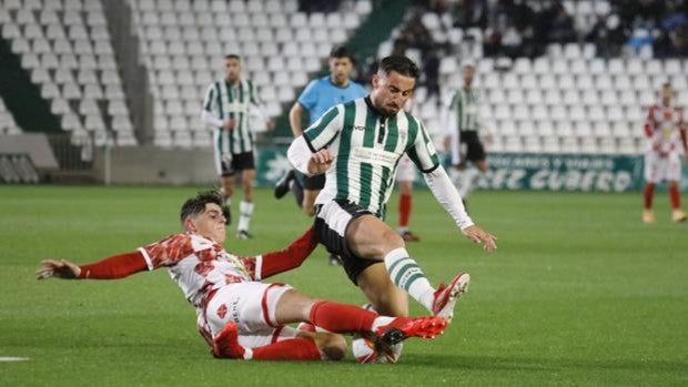 Las notas de los jugadores del Córdoba CF ante el Guijuelo