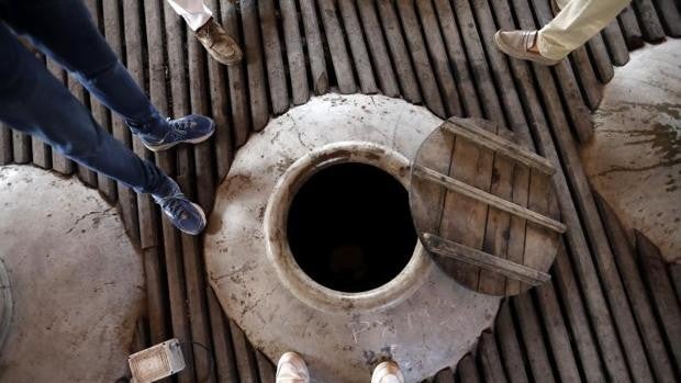 Moriles presenta en sociedad el próximo día 28 de noviembre el «nacimiento» de sus nuevos vinos