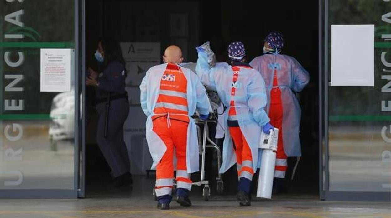 Sanitarios del 061 entran en las Urgencias del Reina Sofía de Córdoba con un enfermo