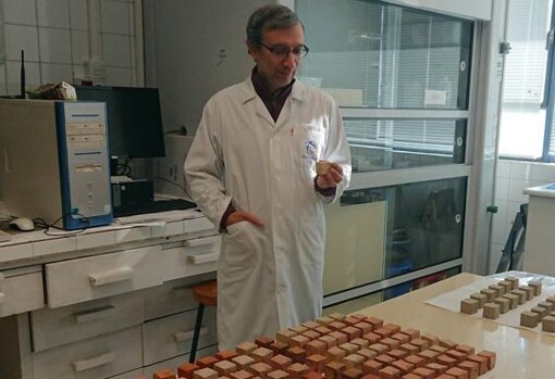 Giuseppe Cultrone, investigador del departamento de Minerología de la Universidad de Granada