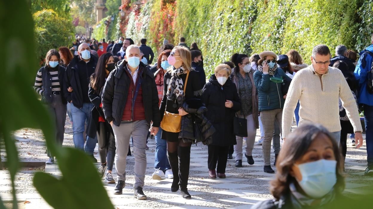 Personas paseando por el Centro de Sevilla en el puente de la Inmaculada