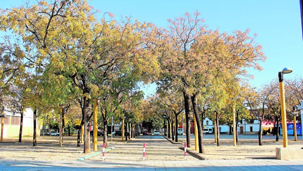 El recinto ferial de Palma del Río de Córdoba se convertirá en un aparcamiento el resto del año