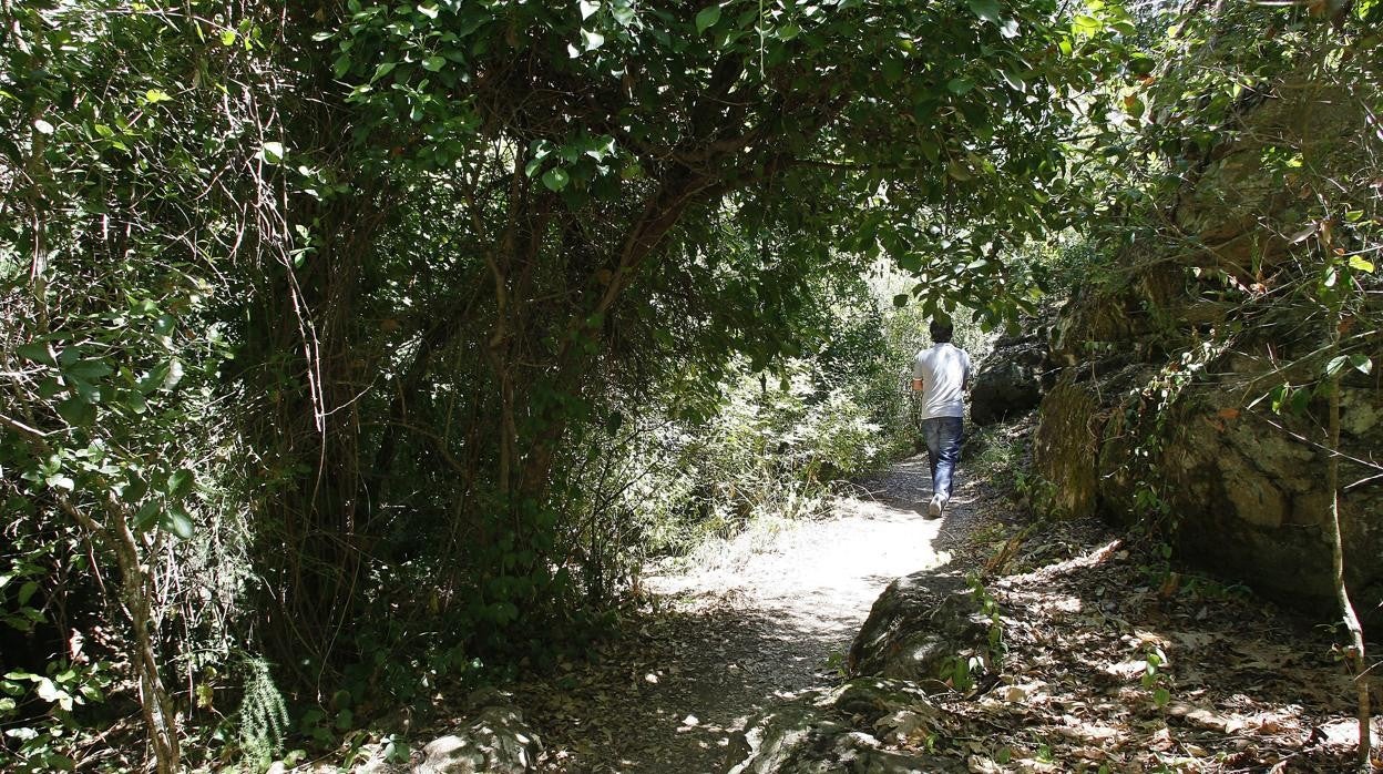 Un joven camina cerca de los Baños de Popea