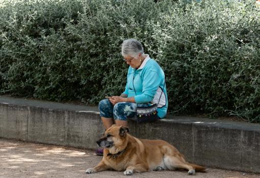 Una persona mayor consulta su móvil junto a su perro