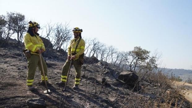 Un juzgado investiga el incendio de Calatraveño en Alcaracejos al existir indicios de ser provocado