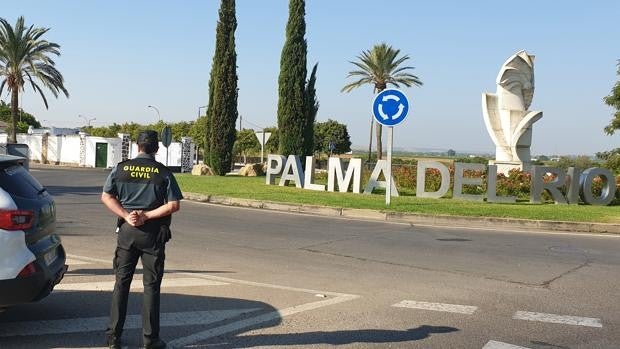 Ingresa en prisión un joven acusado de ocho robos en el instituto y tiendas de Palma del Río (Córdoba)