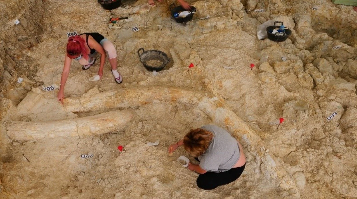 Imagen de la excavaciónen el yacimiento prehistórico de Orce (Granada)
