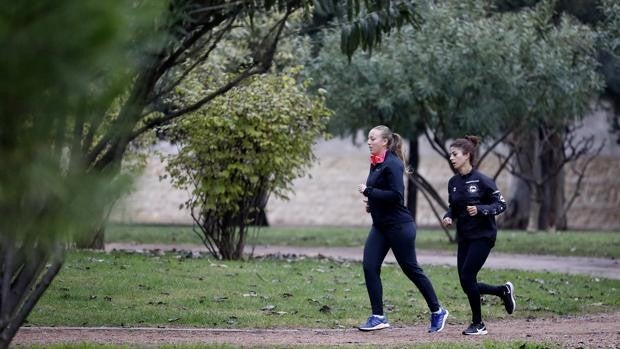 Fin de semana soleado en Córdoba sin frío excesivo