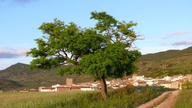 Un pueblo de Jaén registra una tasa Covid de 3.050 contagios por cada 100.000 habitantes