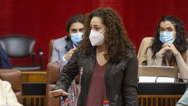 De la «lluvia fina» de la gestión al chaparrón de críticas al «caos» de la sanidad en el Parlamento de Andalucía