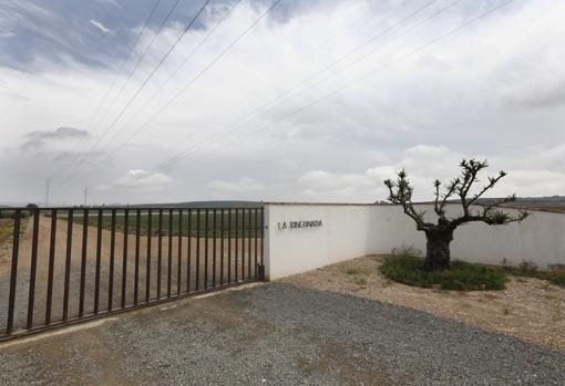 La Base Logística del Ejército de Tierra se levantará sobre los suelos de la Rinconada