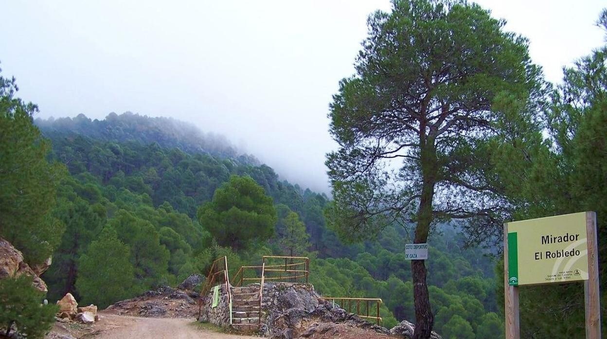 El Robledo forma parte de una de las rutas del parque natural