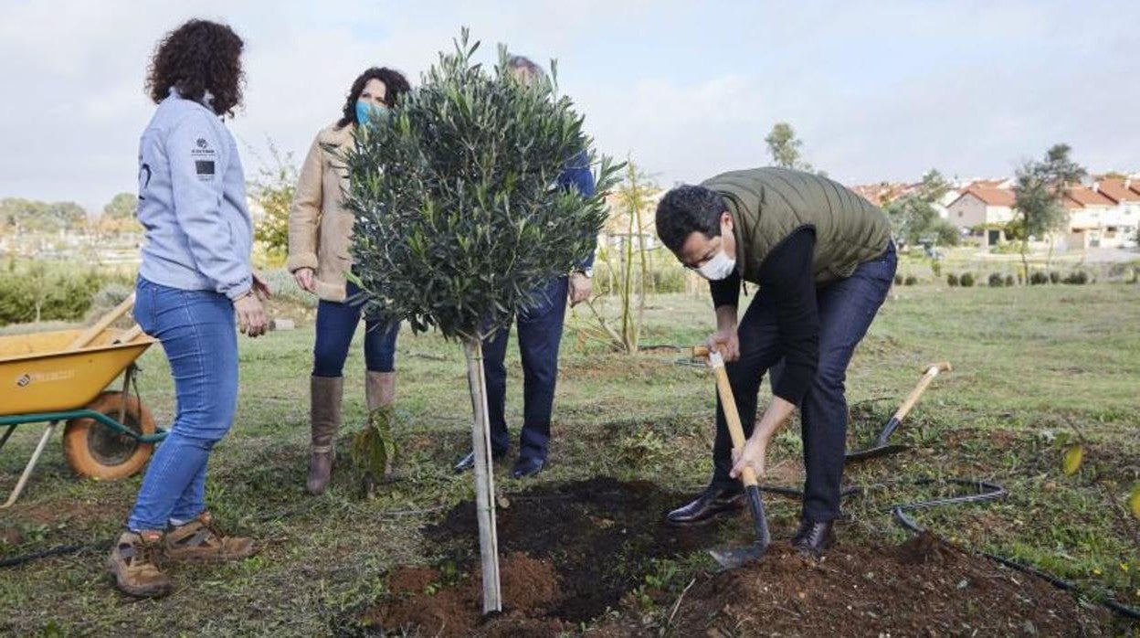 El presidente de la Junta, Juanma Moreno, planta un olivo en las instalaciones Bioalverde de Cáritas