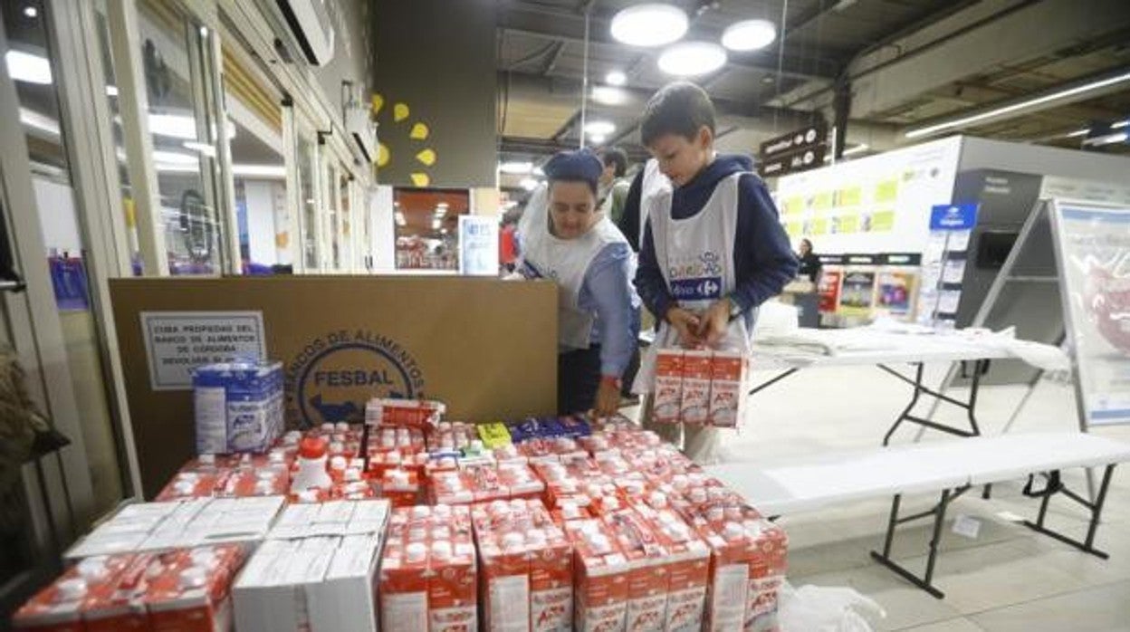 Recogida en un Banco de Alimentos en Córdoba