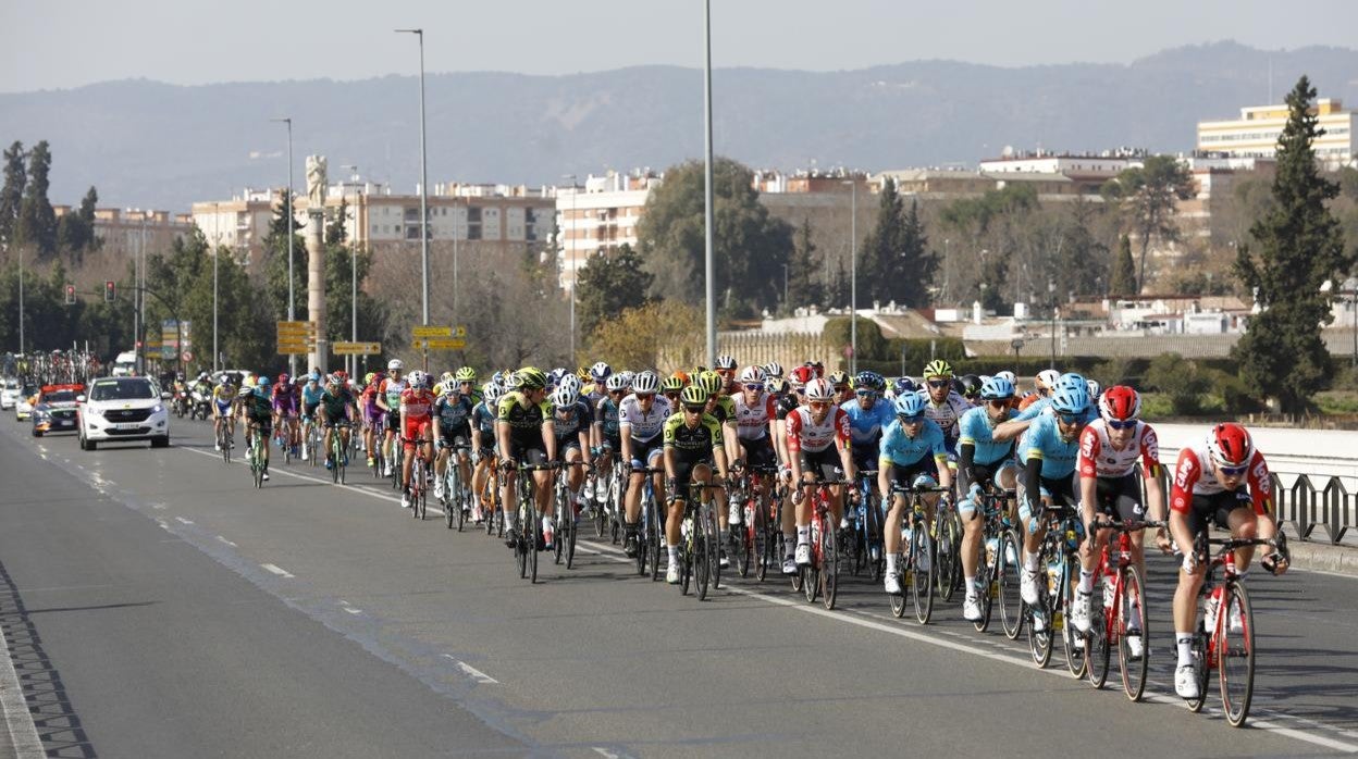 El pelotón de la Vuelta Ciclista a Andalucía-Ruta a su paso por Córdoba en 2019