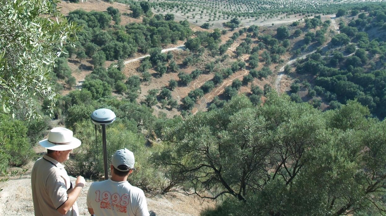 Terrenos del yacimiento