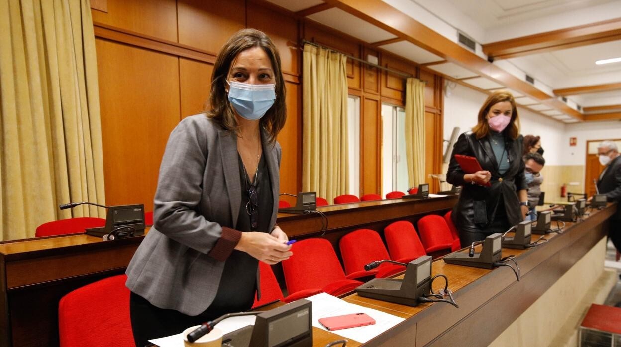 Isabel Ambrosio duranteu no de los últimos Plenos del Ayuntamiento de Córdoba