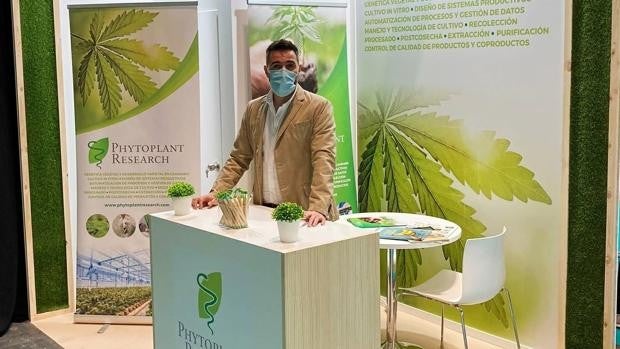 Una empresa de Rabanales 21 en Córdoba obtiene permiso para producir cannabis con fines médicos