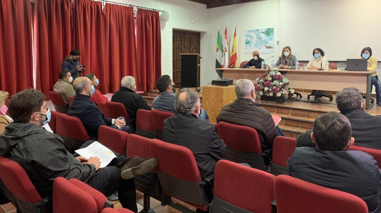 La delegada del Gobierno en Extremadura (al fondo), reunida con los alcaldes de la Campiña Sur de esta región