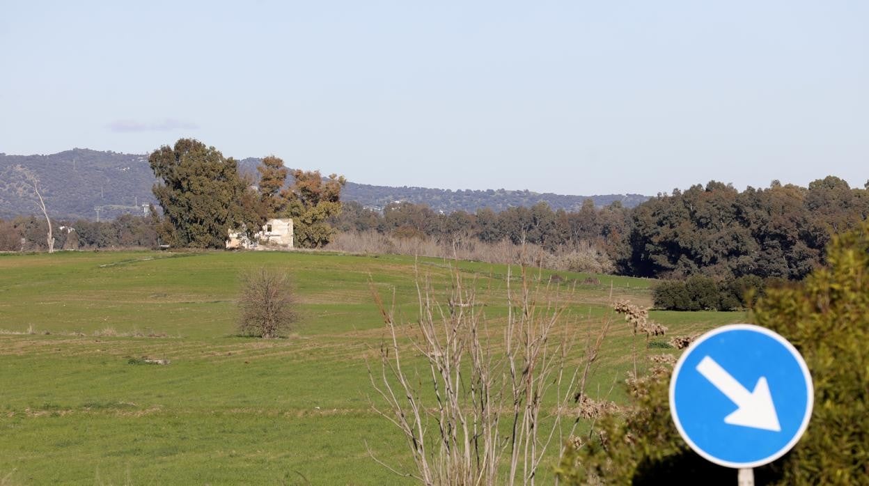 Terrenos de la Ciudad de Levante