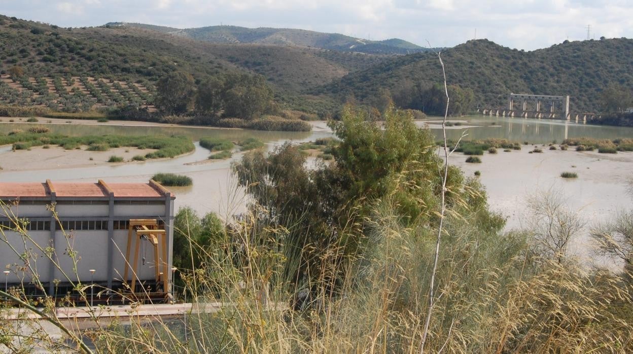 Situación en que se encuentra el embalse de Cordobilla, construído hace casi 70 años y clave para el regadío del Genil-Cabra