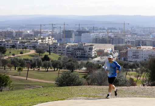 Vista de las nuevas promociones en Fuente de la Salud desde el parque de la Asomadilla