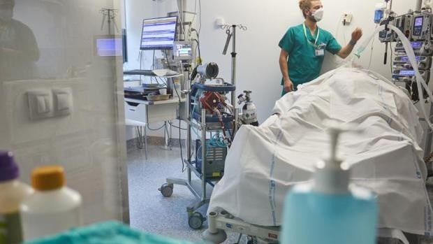 Andalucía revisa la cifra de muertes: el 80% fallecieron por Covid y el 20% «con Covid» por otra causa médica