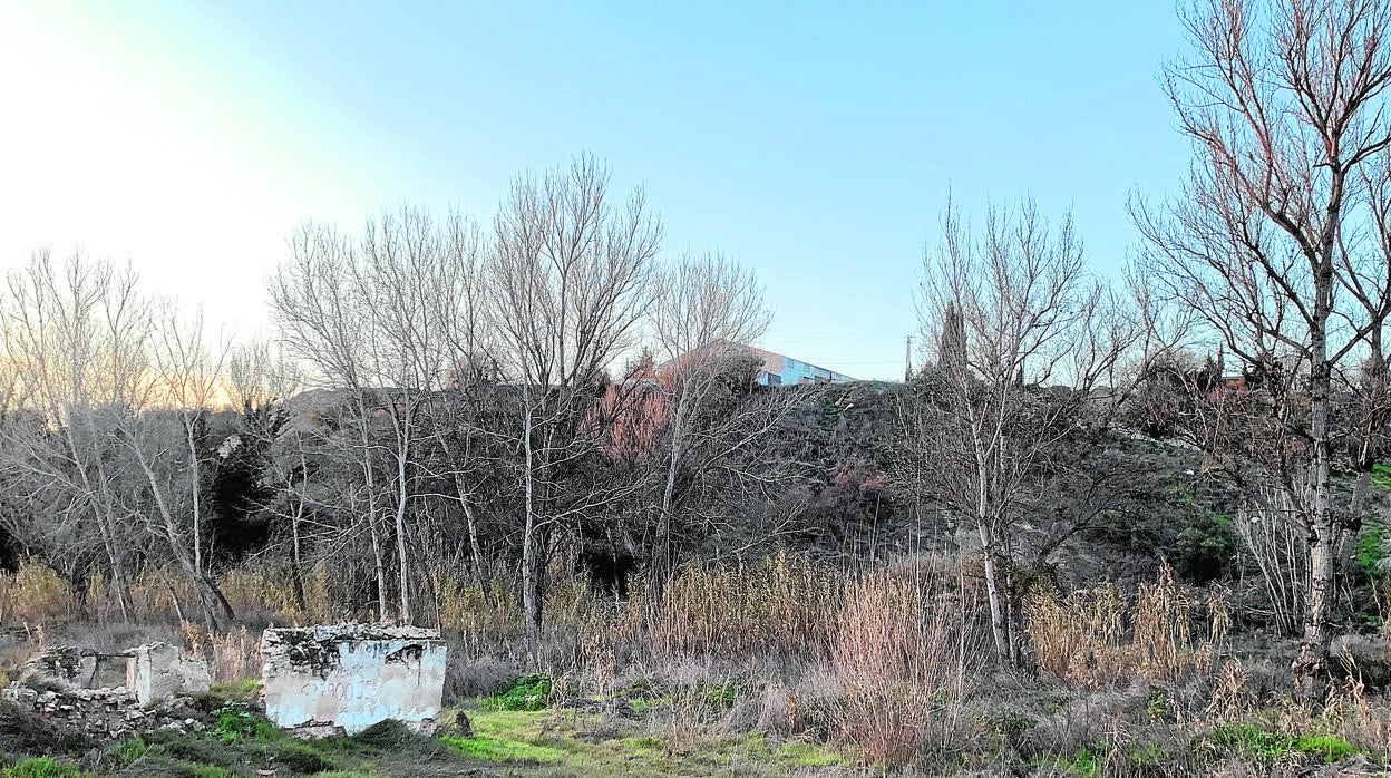 Aspecto actual de una zona de la ribera del río Cabra donde se intervino antes de paralizar las obras