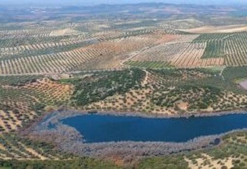 Día Internacional de los Humedales | Lagunas de Córdoba, un paraíso estacional para las aves