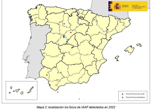 ¿Qué riesgo hay de que llegue la gripe aviar a Córdoba?