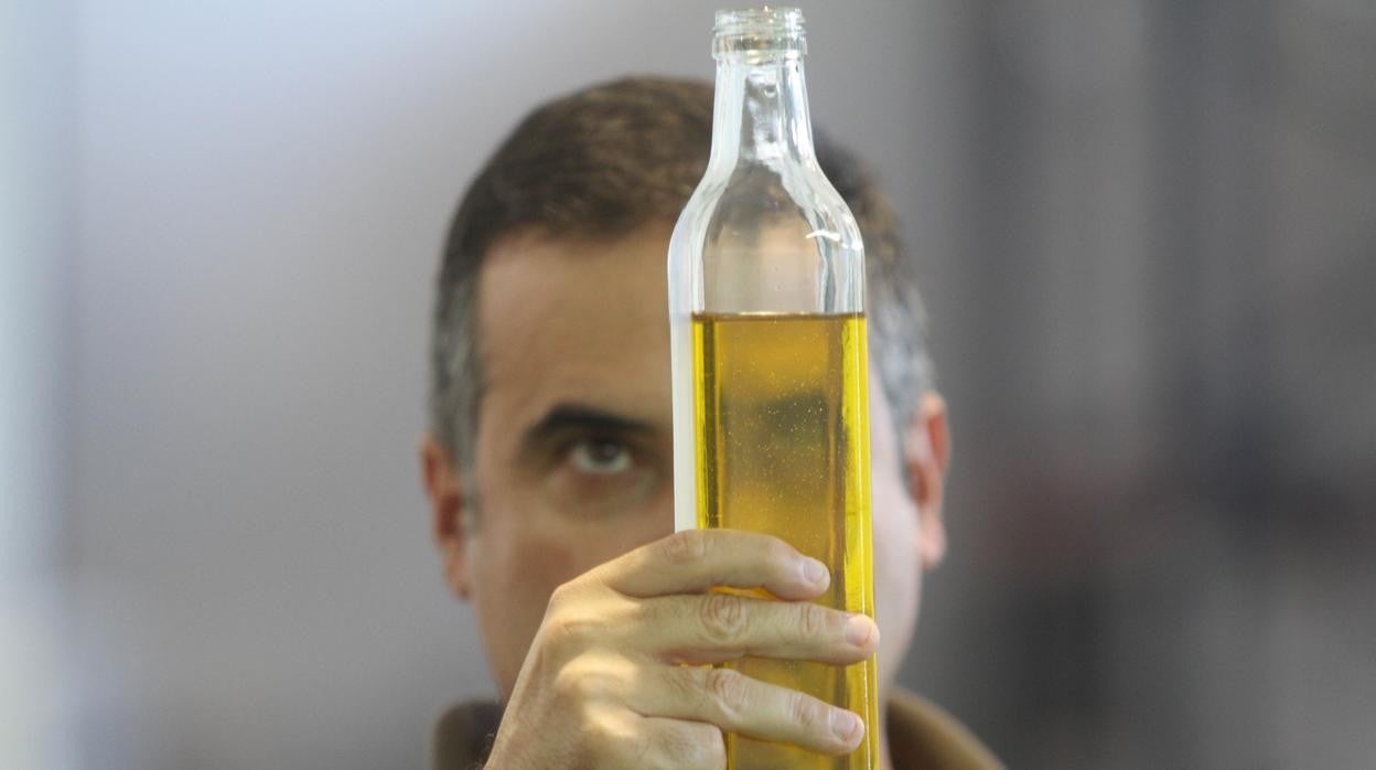 Un responsable de una cooperativa de Priego de Córdoba sujeta una botella de aceite de oliva virgen extra