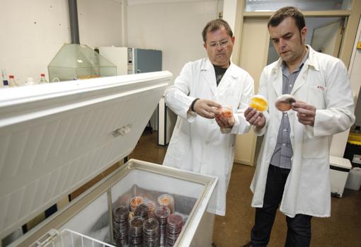 Investigadores en el campus de Rabanales