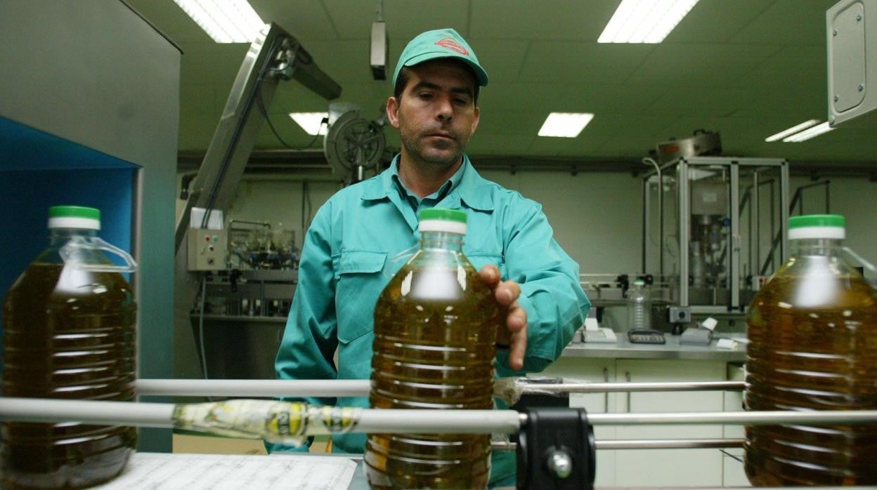 Planta de envasado de aceite de una cooperativa en Córdoba