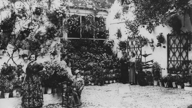 Bodegas Campos y los patios, cuando el menú es salvar la arquitectura popular de Córdoba