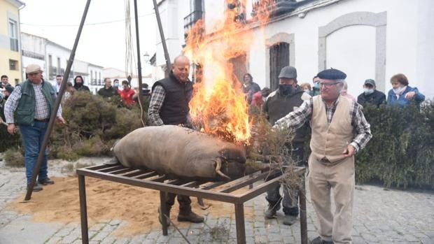 Exquisiteces del cerdo ibérico y danzas tradicionales: Alcaracejos celebra su Fiesta de la Matanza