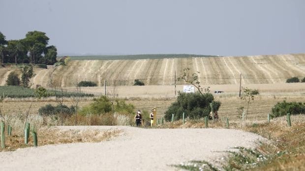 Cinturón Verde de Córdoba | La Junta inicia la semana que viene las obras del segundo tramo