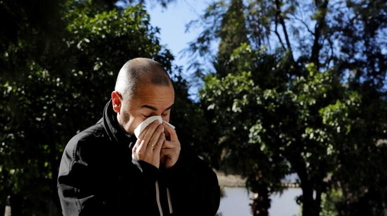 Las alergias se han adelantado este año