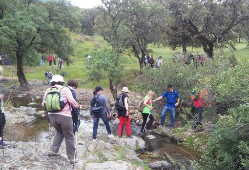 Estos son los mejores planes para disfrutar del Día de Andalucía 2022 con niños en Córdoba