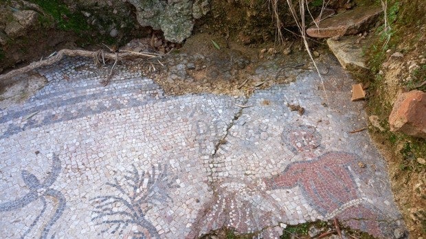 Cultura primará la preservación al actuar en el mosaico romano de Adamuz