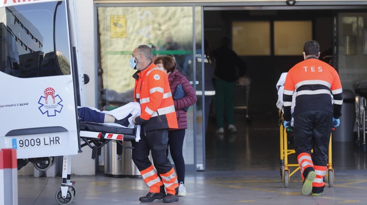 Porfesionales sanitarios, realizando ingresos en las Urgencias del Hospital Reina Sofía