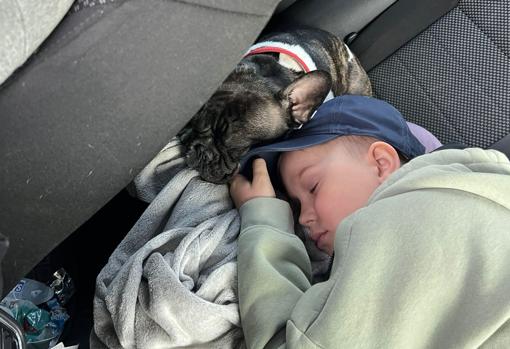 Un niño pequeño ucraniano duerme en el coche que le trae a Córdoba