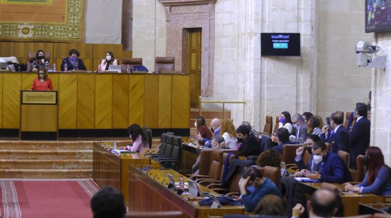 La diputada de Ciudadanos, Mercedes López, durante su intervención este miércoles en el debate de la Ley de discapacidad