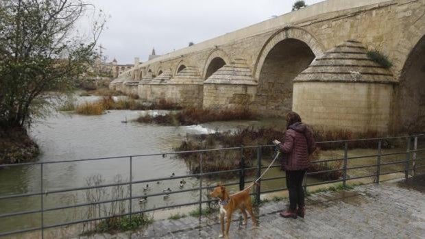 La lluvia deja 23 litros en Córdoba y alivia la situación de los pantanos