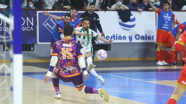 Fútbol sala | El Córdoba Patrimonio grita ante el Jimbee Cartagena que quiere jugar el play off (4-4)