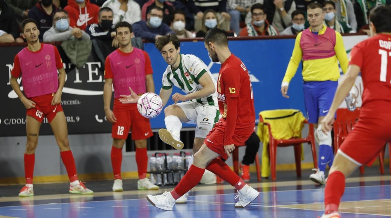 Pablo del Moral, del Córdoba Futsal, en el partido del martes ante el Jimbee Cartagena