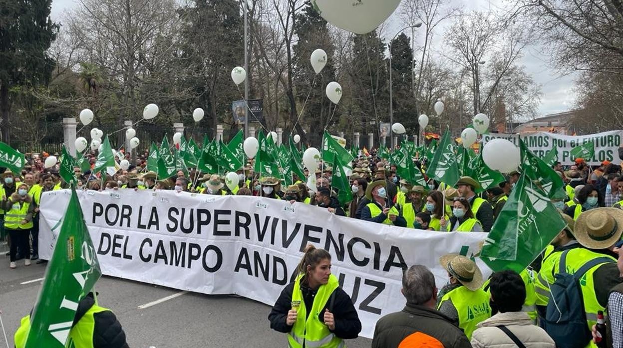 Manifestantes en la marcha por el campo este domingo en Madrid