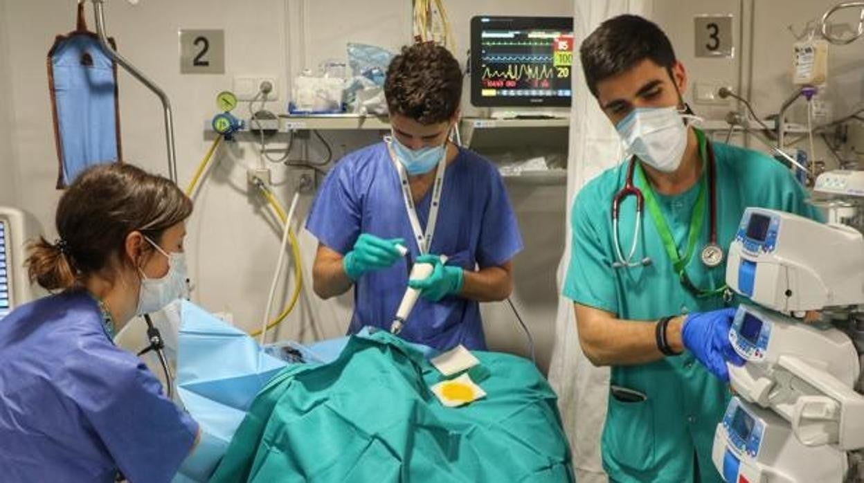 Sanitarios trabajando en el Reina Sofía de Córdoba